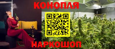 сатива Северобайкальск