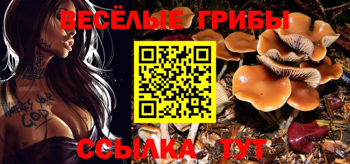Псилоцибиновые грибы Psilocybine cubensis  Вход с VPN  Рязань 