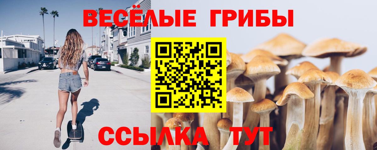 Галлюциногенные грибы мицелий Рязань